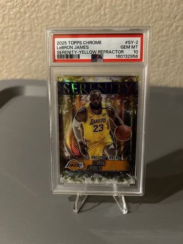 LeBron James #SY-2