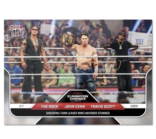 The Rock / John Cena / Travis Scott #27