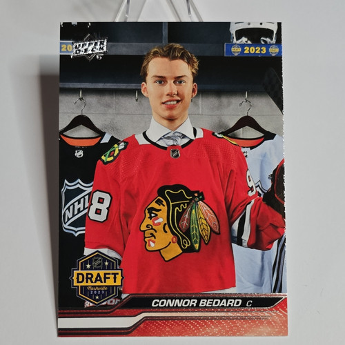 Connor Bedard #740
