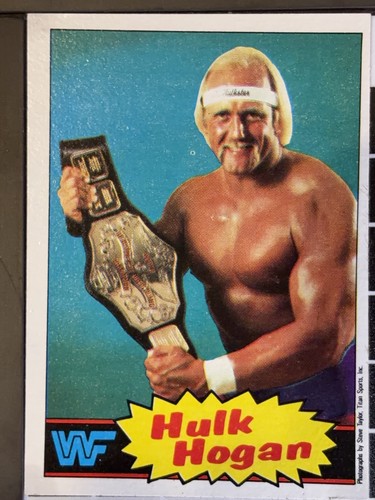 Hulk Hogan #16