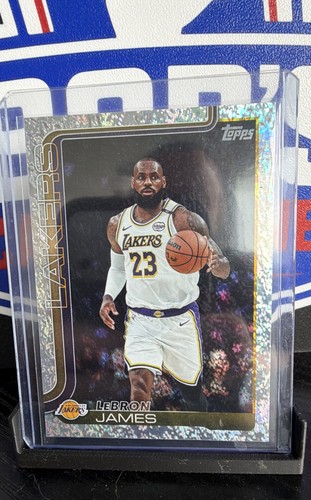 LeBron James #150