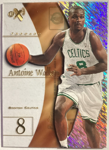 Antoine Walker #12