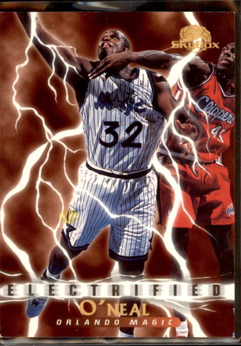 Shaquille O'Neal #293