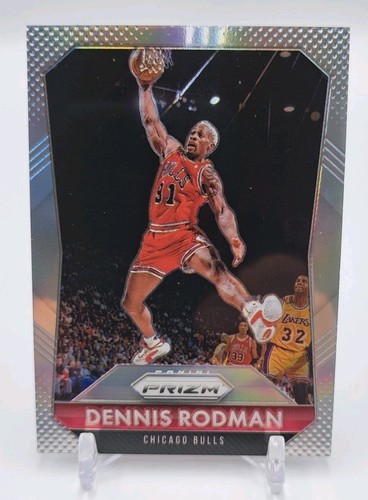 Dennis Rodman #245