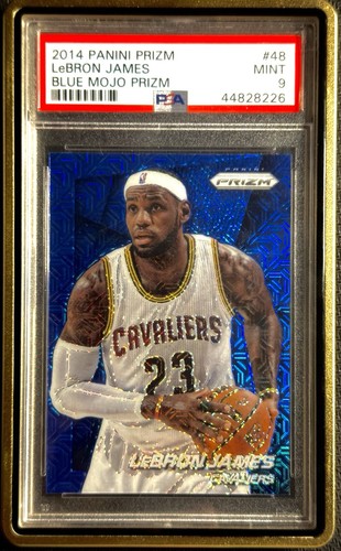 LeBron James #48