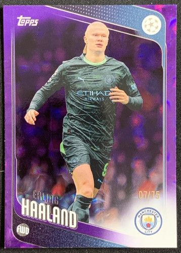 Erling Haaland #181