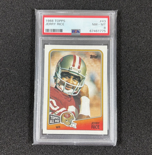 Jerry Rice #43