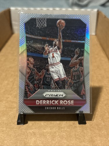 Derrick Rose #173