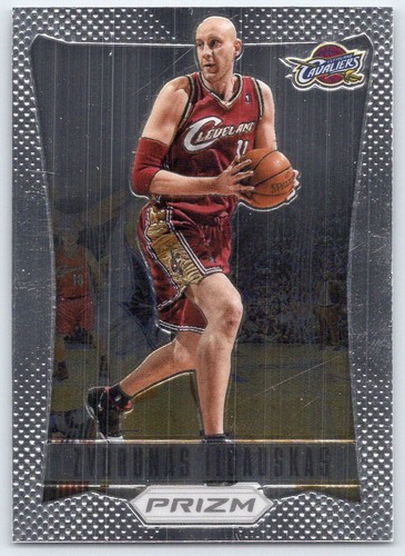 Zydrunas Ilgauskas #190