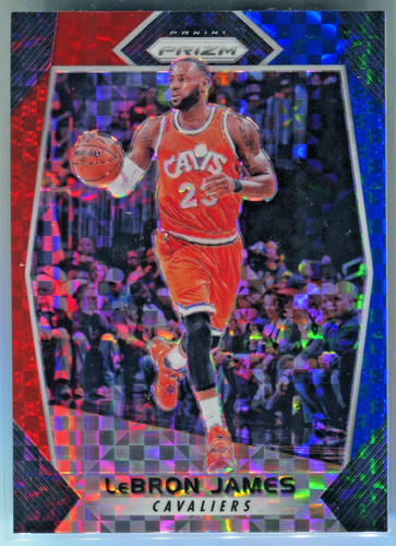 LeBron James #191