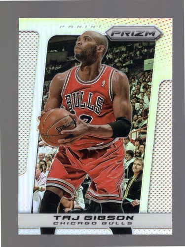 Taj Gibson #12