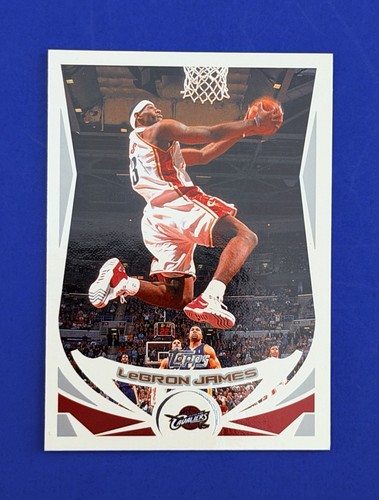 LeBron James #23