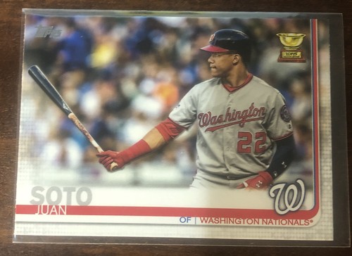 Juan Soto #213