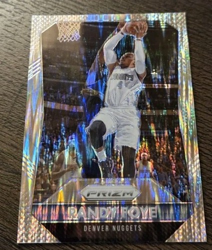 Randy Foye #133