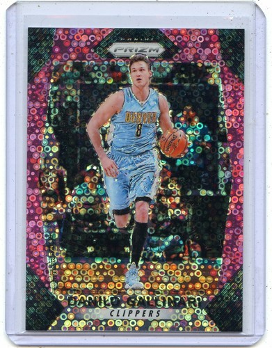 Danilo Gallinari #217