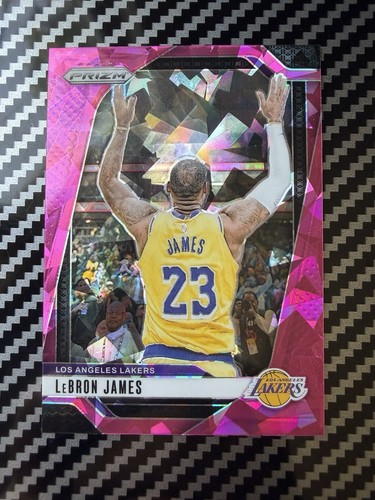LeBron James #130