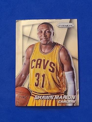 Shawn Marion #82