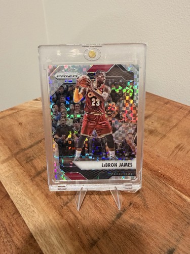 LeBron James #31