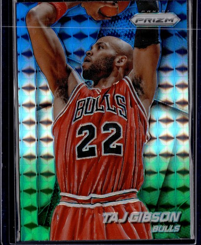 Taj Gibson #132