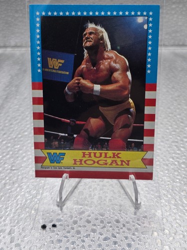 Hulk Hogan #3