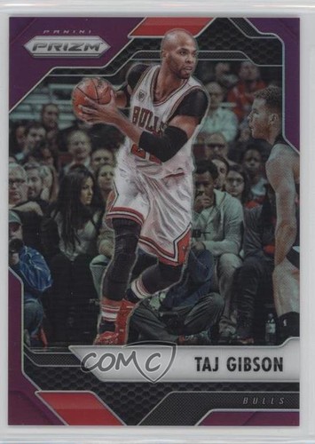 Taj Gibson #30